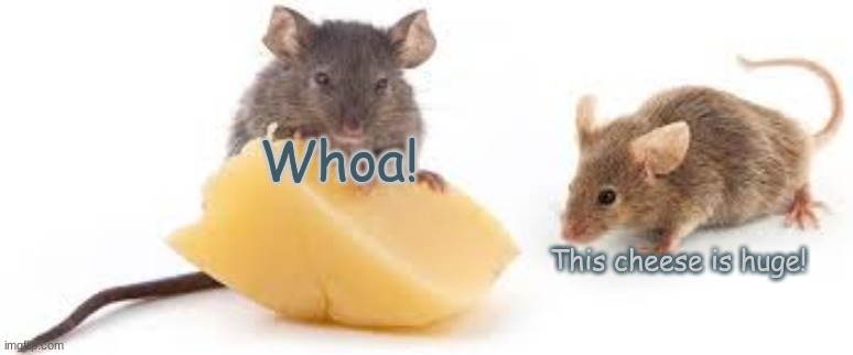 Jackpot | Whoa! This cheese is huge! | image tagged in two mice | made w/ Imgflip meme maker