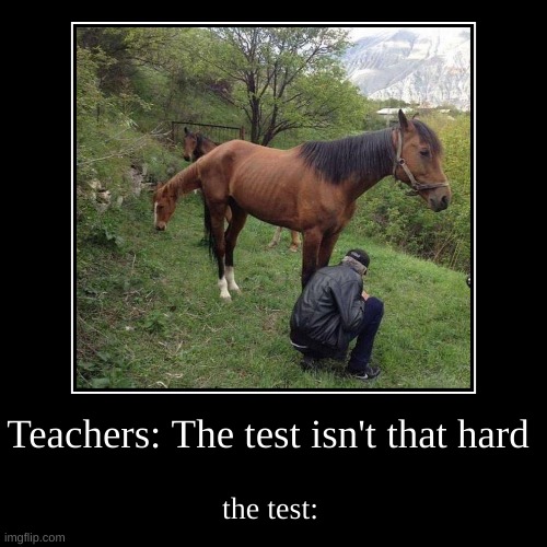 My school | image tagged in funny,school,horse | made w/ Imgflip demotivational maker