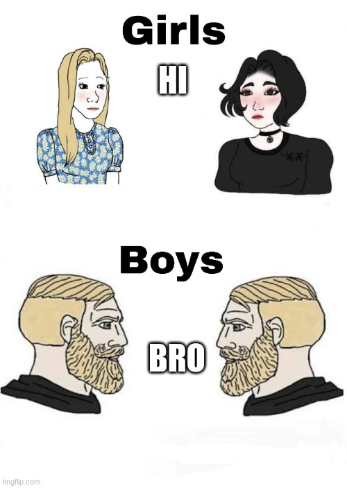 Girls vs Boys | HI; BRO | image tagged in girls vs boys | made w/ Imgflip meme maker