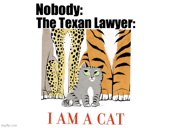 Zoom Problems... | image tagged in texas,cat | made w/ Imgflip meme maker