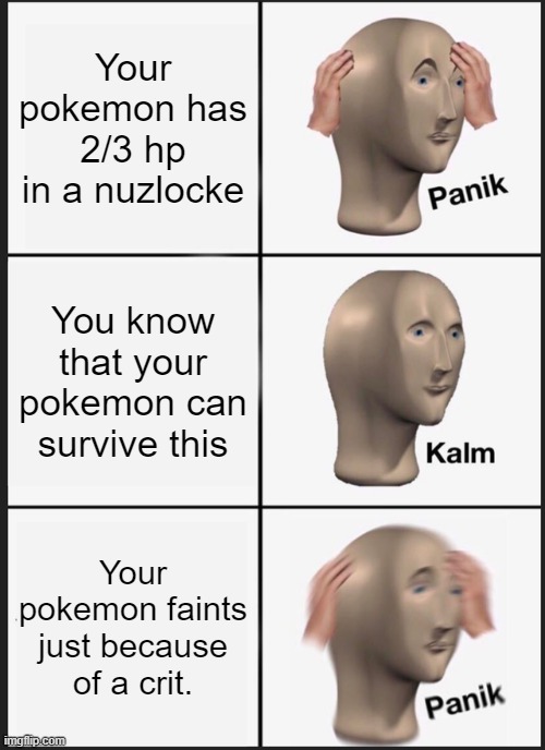 Pokemon nuzlocke | Your pokemon has 2/3 hp in a nuzlocke; You know that your pokemon can survive this; Your pokemon faints just because of a crit. | image tagged in memes,panik kalm panik | made w/ Imgflip meme maker