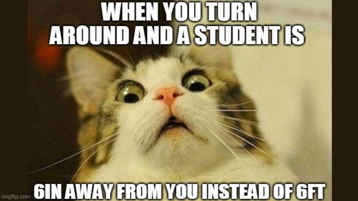 image tagged in funny | made w/ Imgflip meme maker