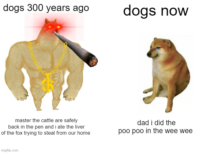 Buff Doge vs. Cheems Meme |  dogs 300 years ago; dogs now; master the cattle are safely back in the pen and i ate the liver of the fox trying to steal from our home; dad i did the poo poo in the wee wee | image tagged in memes,buff doge vs cheems | made w/ Imgflip meme maker