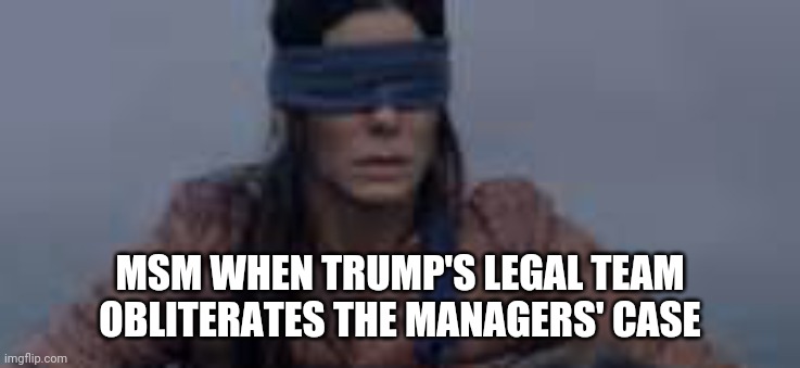 Bird Box | MSM WHEN TRUMP'S LEGAL TEAM OBLITERATES THE MANAGERS' CASE | image tagged in bird box | made w/ Imgflip meme maker