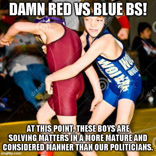 Red vs Blue |  DAMN RED VS BLUE BS! AT THIS POINT, THESE BOYS ARE SOLVING MATTERS IN A MORE MATURE AND CONSIDERED MANNER THAN OUR POLITICIANS. | image tagged in american politics,politics lol | made w/ Imgflip meme maker