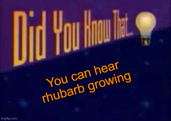 Did you know that... | You can hear rhubarb growing | image tagged in did you know that | made w/ Imgflip meme maker