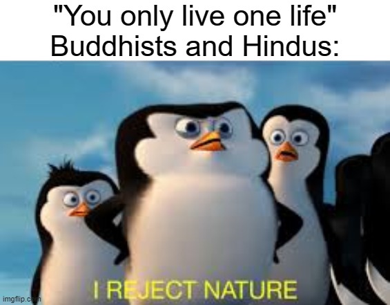 ♫ We're doing a sequel ♫ | "You only live one life"
Buddhists and Hindus: | image tagged in memes,i reject nature,buddhism,hinduism,funny,stop reading the tags | made w/ Imgflip meme maker