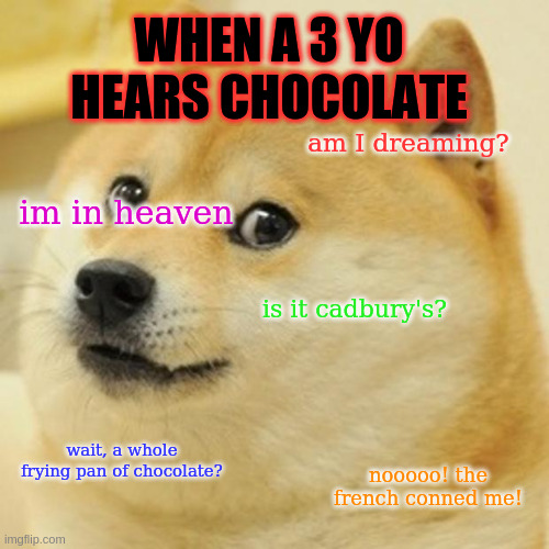 The Obsession | WHEN A 3 YO HEARS CHOCOLATE; am I dreaming? im in heaven; is it cadbury's? wait, a whole frying pan of chocolate? nooooo! the french conned me! | image tagged in memes,doge,funny,chocolate,meme,underated | made w/ Imgflip meme maker