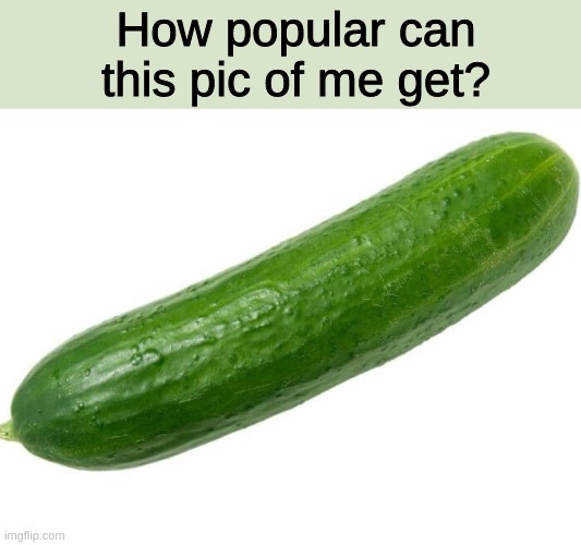 Cucumber | How popular can this pic of me get? | image tagged in memes | made w/ Imgflip meme maker