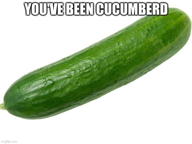 You've Been Cucumberd | YOU'VE BEEN CUCUMBERD | image tagged in cucumber | made w/ Imgflip meme maker