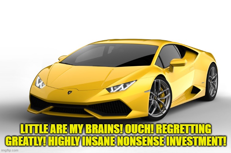 lamborghini | LITTLE ARE MY BRAINS! OUCH! REGRETTING GREATLY! HIGHLY INSANE NONSENSE INVESTMENT! | image tagged in lamborghini | made w/ Imgflip meme maker