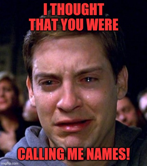 crying peter parker | I THOUGHT THAT YOU WERE CALLING ME NAMES! | image tagged in crying peter parker | made w/ Imgflip meme maker