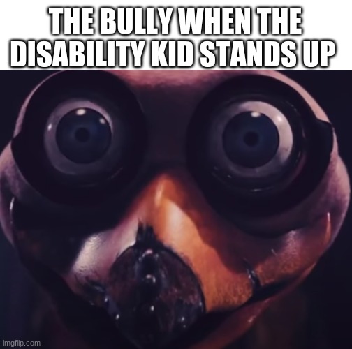 surprised ostrich | THE BULLY WHEN THE DISABILITY KID STANDS UP | image tagged in surprised ostrich | made w/ Imgflip meme maker