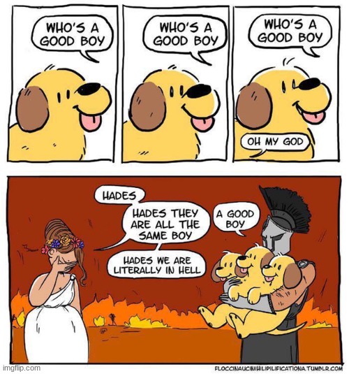 They're all good boys! | image tagged in dogs,hades,good boy,hell | made w/ Imgflip meme maker