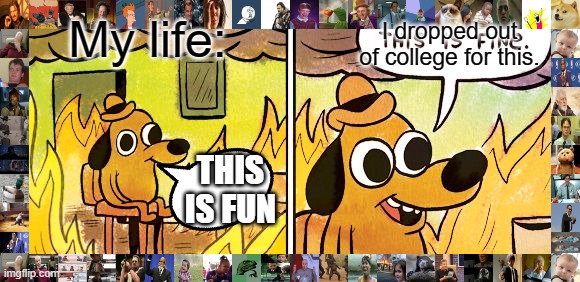 The Golden Rule: don't post anything that's not a meme, GIF, demot or pie chart or anything unrelated to that matter... | I dropped out of college for this. My life:; THIS IS FUN | image tagged in memes,this is fine | made w/ Imgflip meme maker