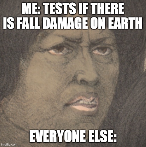 Confused lady | ME: TESTS IF THERE IS FALL DAMAGE ON EARTH; EVERYONE ELSE: | image tagged in confused lady | made w/ Imgflip meme maker