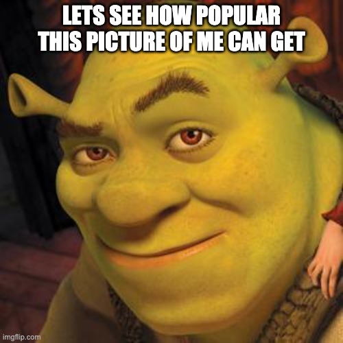 Shrek Sexy Face | LETS SEE HOW POPULAR THIS PICTURE OF ME CAN GET | image tagged in shrek sexy face,face reveal | made w/ Imgflip meme maker