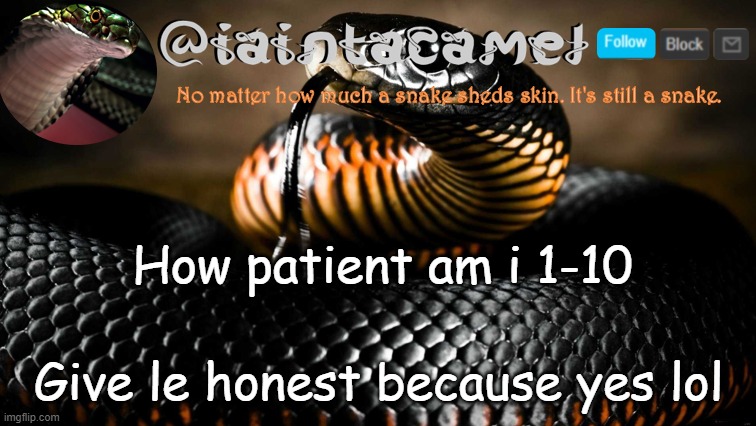 iaintacamel | How patient am i 1-10; Give le honest because yes lol | image tagged in iaintacamel | made w/ Imgflip meme maker