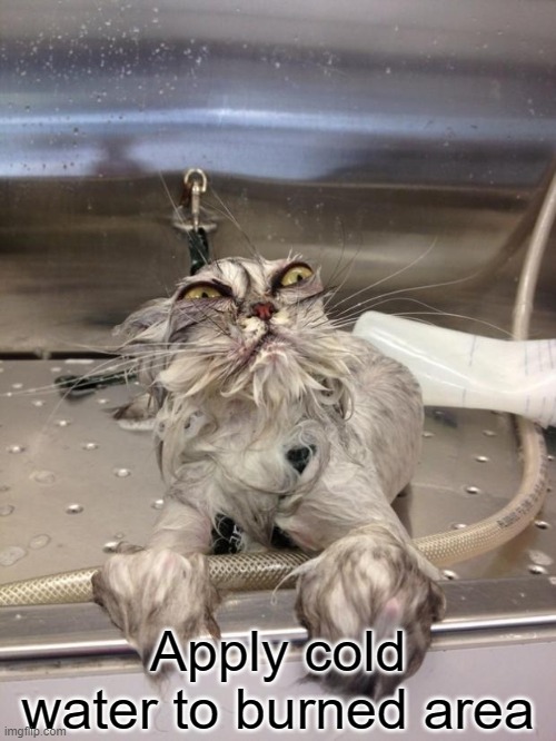 Angry Wet Cat | Apply cold water to burned area | image tagged in angry wet cat | made w/ Imgflip meme maker