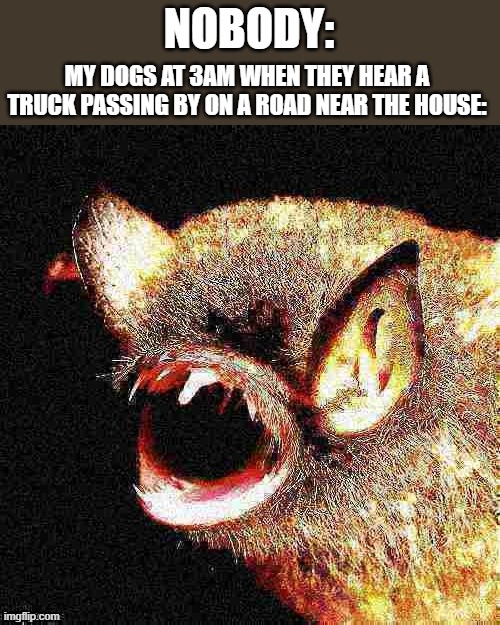 It's not very pleasant to hear doggos barking during the ungodly hour | NOBODY:; MY DOGS AT 3AM WHEN THEY HEAR A TRUCK PASSING BY ON A ROAD NEAR THE HOUSE: | image tagged in screaming bat,memes | made w/ Imgflip meme maker