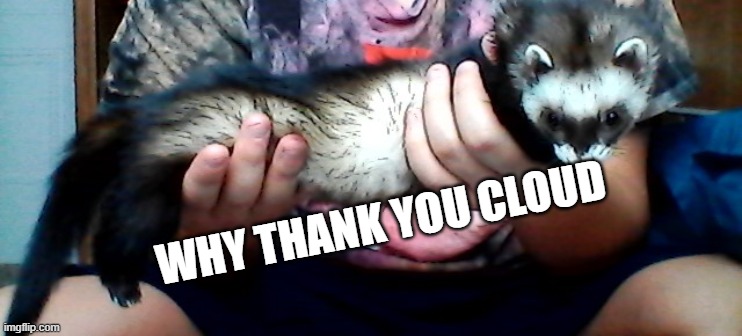 long ferret | WHY THANK YOU CLOUD | image tagged in long ferret | made w/ Imgflip meme maker