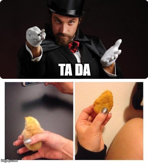 Transform a chick to a nuggy | TA DA | image tagged in household magician | made w/ Imgflip meme maker