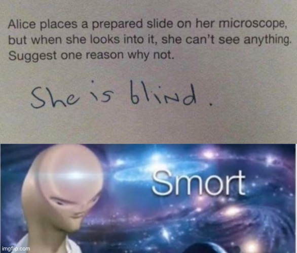 LOL | image tagged in meme man smort,memes,funny,kids,test | made w/ Imgflip meme maker