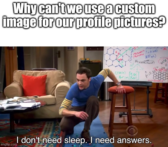 Profile Picture Question | Why can't we use a custom image for our profile pictures? | image tagged in i don't need sleep i need answers | made w/ Imgflip meme maker