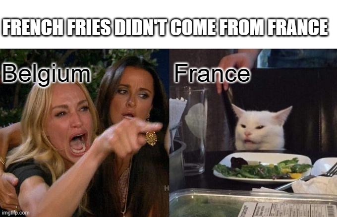 THE FRENCH | FRENCH FRIES DIDN'T COME FROM FRANCE; Belgium; France | image tagged in memes,funny,french fries,thief | made w/ Imgflip meme maker