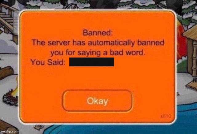 The server has automatically banned you for saying a bad word | image tagged in the server has automatically banned you for saying a bad word | made w/ Imgflip meme maker