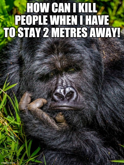 HOW CAN I KILL PEOPLE WHEN I HAVE TO STAY 2 METRES AWAY! | image tagged in king kong | made w/ Imgflip meme maker
