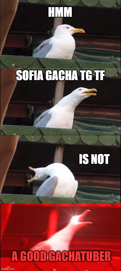 Sofia gacha tg tf is bad | HMM; SOFIA GACHA TG TF; IS NOT; A GOOD GACHATUBER | image tagged in memes,inhaling seagull | made w/ Imgflip meme maker