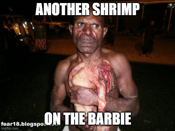 ANOTHER SHRIMP; ON THE BARBIE | made w/ Imgflip meme maker