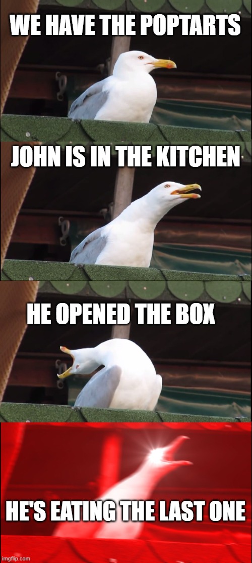 Mad segal | WE HAVE THE POPTARTS; JOHN IS IN THE KITCHEN; HE OPENED THE BOX; HE'S EATING THE LAST ONE | image tagged in memes,inhaling seagull | made w/ Imgflip meme maker