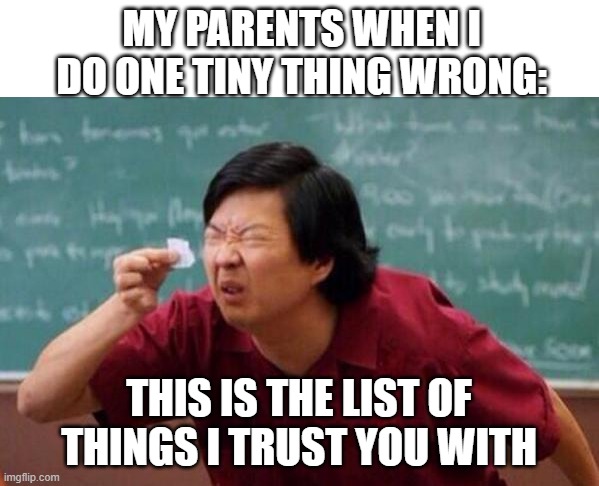 List of people I trust | MY PARENTS WHEN I DO ONE TINY THING WRONG:; THIS IS THE LIST OF THINGS I TRUST YOU WITH | image tagged in list of people i trust | made w/ Imgflip meme maker