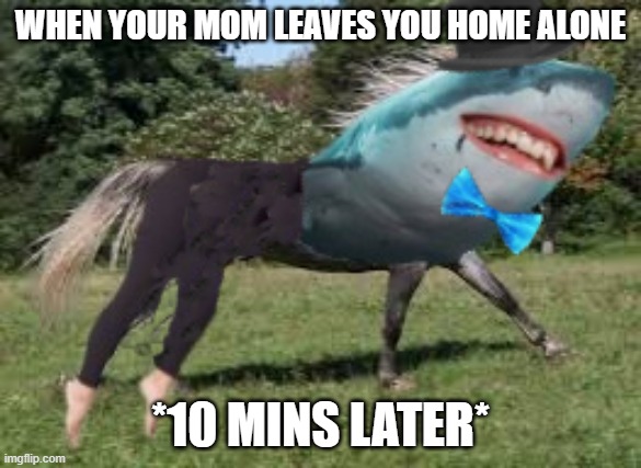 Snazzy shorse(yes I made this) | WHEN YOUR MOM LEAVES YOU HOME ALONE; *10 MINS LATER* | image tagged in shark,horse,classy,stay at home mom | made w/ Imgflip meme maker