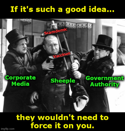 If it's such a good idea... | If it's such a good idea... Scamdemic; Vaccines; Corporate
Media; Sheeple; Government
Authority; they wouldn't need to  
  force it on you. | image tagged in three stooges head in vice,scamdemic,lockdown tyranny,vaccine poisons,government corruption,media lies | made w/ Imgflip meme maker