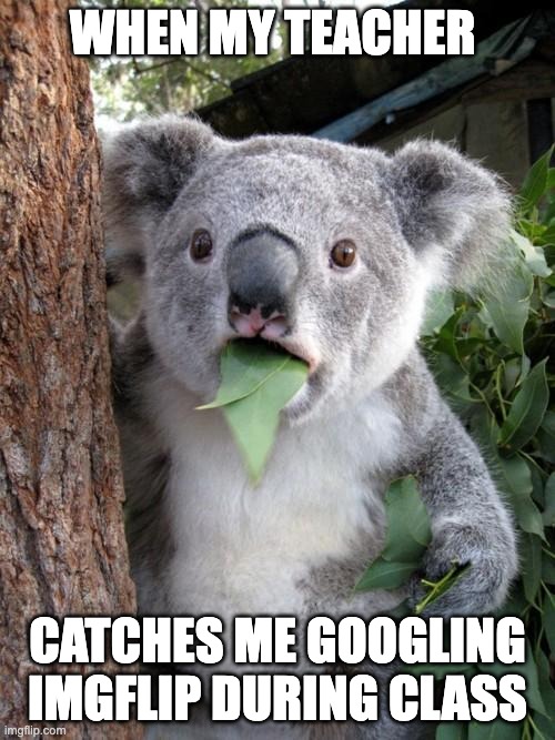 Surprised Koala Meme | WHEN MY TEACHER; CATCHES ME GOOGLING IMGFLIP DURING CLASS | image tagged in memes,surprised koala | made w/ Imgflip meme maker