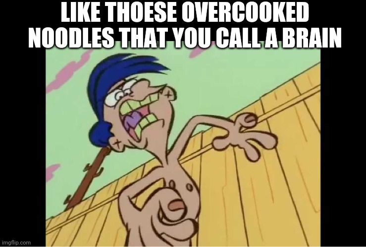 Rolf yelling | LIKE THOESE OVERCOOKED NOODLES THAT YOU CALL A BRAIN | image tagged in rolf yelling | made w/ Imgflip meme maker