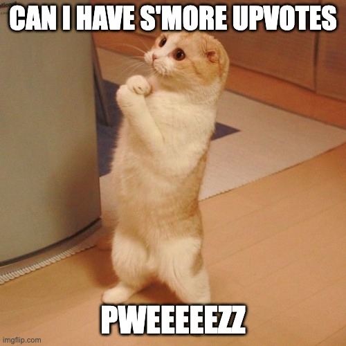 BeggingCat | CAN I HAVE S'MORE UPVOTES; PWEEEEEZZ | image tagged in beggingcat | made w/ Imgflip meme maker