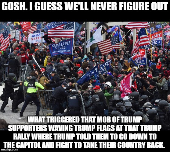 DC riot | GOSH. I GUESS WE'LL NEVER FIGURE OUT; WHAT TRIGGERED THAT MOB OF TRUMP SUPPORTERS WAVING TRUMP FLAGS AT THAT TRUMP RALLY WHERE TRUMP TOLD THEM TO GO DOWN TO THE CAPITOL AND FIGHT TO TAKE THEIR COUNTRY BACK. | image tagged in dc riot | made w/ Imgflip meme maker