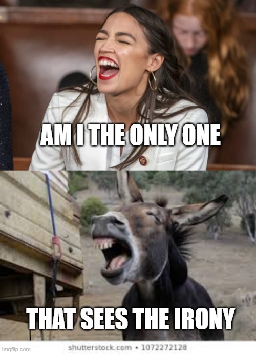 AOC Donkey | AM I THE ONLY ONE; THAT SEES THE IRONY | image tagged in aoc,socialism | made w/ Imgflip meme maker