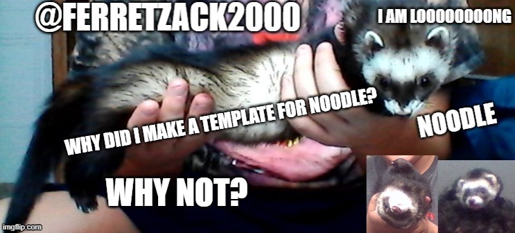 noodle's template | WHY DID I MAKE A TEMPLATE FOR NOODLE? WHY NOT? | image tagged in noodle's template | made w/ Imgflip meme maker
