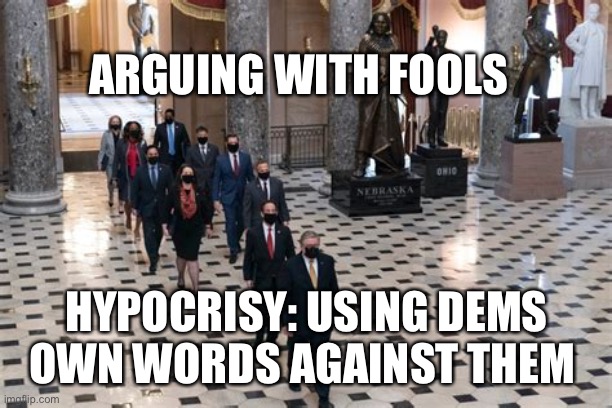 Fools | ARGUING WITH FOOLS; HYPOCRISY: USING DEMS OWN WORDS AGAINST THEM | image tagged in fools | made w/ Imgflip meme maker