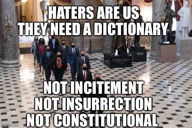 Hate destroying from within | HATERS ARE US; THEY NEED A DICTIONARY; NOT INCITEMENT NOT INSURRECTION NOT CONSTITUTIONAL | image tagged in fools,democrats,impeachment,hoax | made w/ Imgflip meme maker