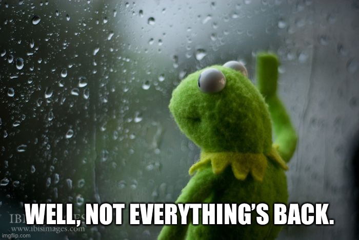 kermit window | WELL, NOT EVERYTHING’S BACK. | image tagged in kermit window | made w/ Imgflip meme maker