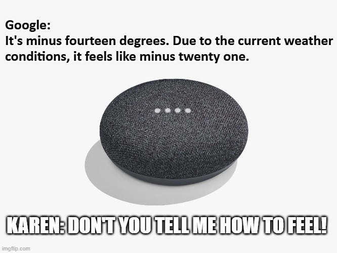 Karen, It's just cold outside. | Google: 
It's minus fourteen degrees. Due to the current weather conditions, it feels like minus twenty one. KAREN: DON'T YOU TELL ME HOW TO FEEL! | image tagged in karen,google,winter,cold,omg karen | made w/ Imgflip meme maker