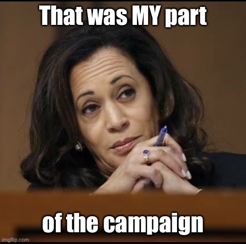 Kamala Harris  | That was MY part of the campaign | image tagged in kamala harris | made w/ Imgflip meme maker