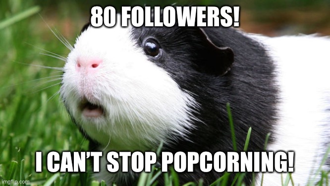 80 followers! | 80 FOLLOWERS! I CAN’T STOP POPCORNING! | image tagged in yay,haha austin has changed the tags he is funneh,announcement | made w/ Imgflip meme maker