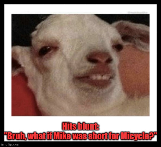 Deep thoughts. | Hits blunt:
"Bruh, what if Mike was short for Micycle?" | image tagged in stoned goat,funny | made w/ Imgflip meme maker